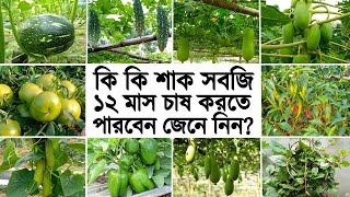 সারা বছর যে সব সবজি চাষ করা যায়