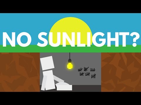 What Would Happen If You Never Saw The Sun?