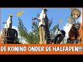 Het stinkgevecht van de Maki | DierenpraatTV