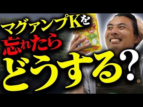 園芸 樹脂スパージ、樹脂性スパージ