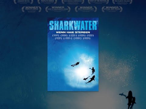 Sharkwater - Wenn Haie sterben