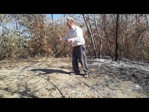 Pr Pedro Leite vai ao monte ora a favor dos irmãos