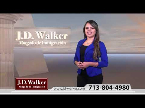 gallery video image