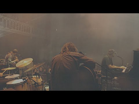 Daniel Norgren - Why May I Not Go Out And Climb The Trees? (Live)