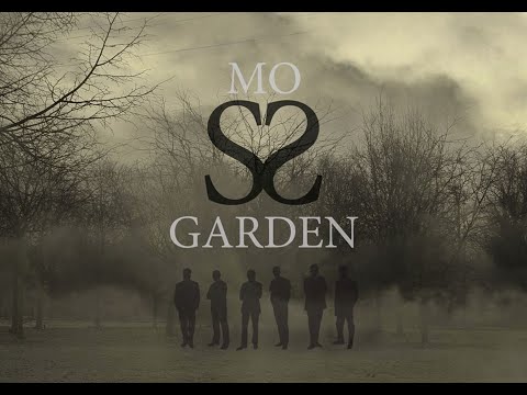 video frame placeholder