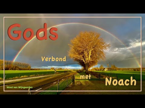 Verbond met Noach