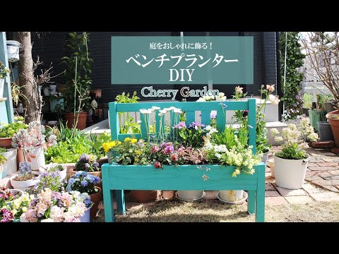 jardinière en bois -repeint-bleu-clair-géranium-blanc