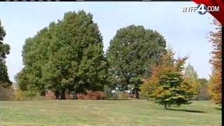 In Custody: Suspect In Attempted Rape In Park