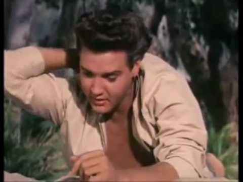 Elvis Presley-Follow that dream 1962