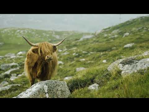 Our Island Story | Huisinis Beach | Isle of Harris