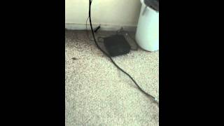 Casey Kasem and 94 rock insults