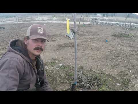 Farm Irrigation 101: ABC Acres - Episode #170