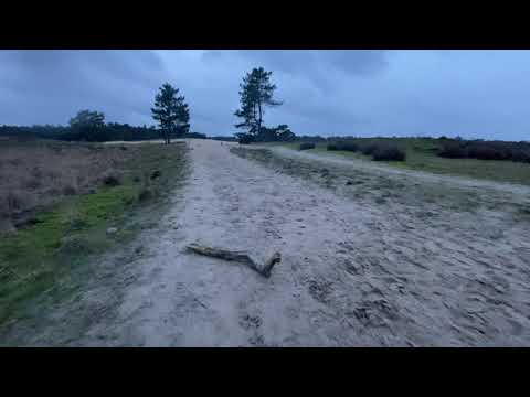 Opwekking 710 Gebed om zegen