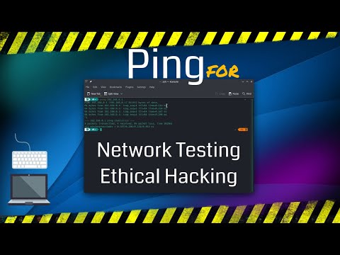 What Is the PING Command In Networking