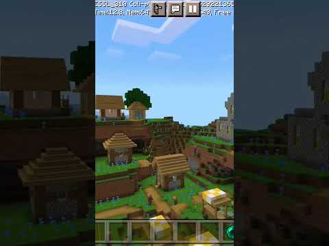 Discover the stunning Minecraft village!