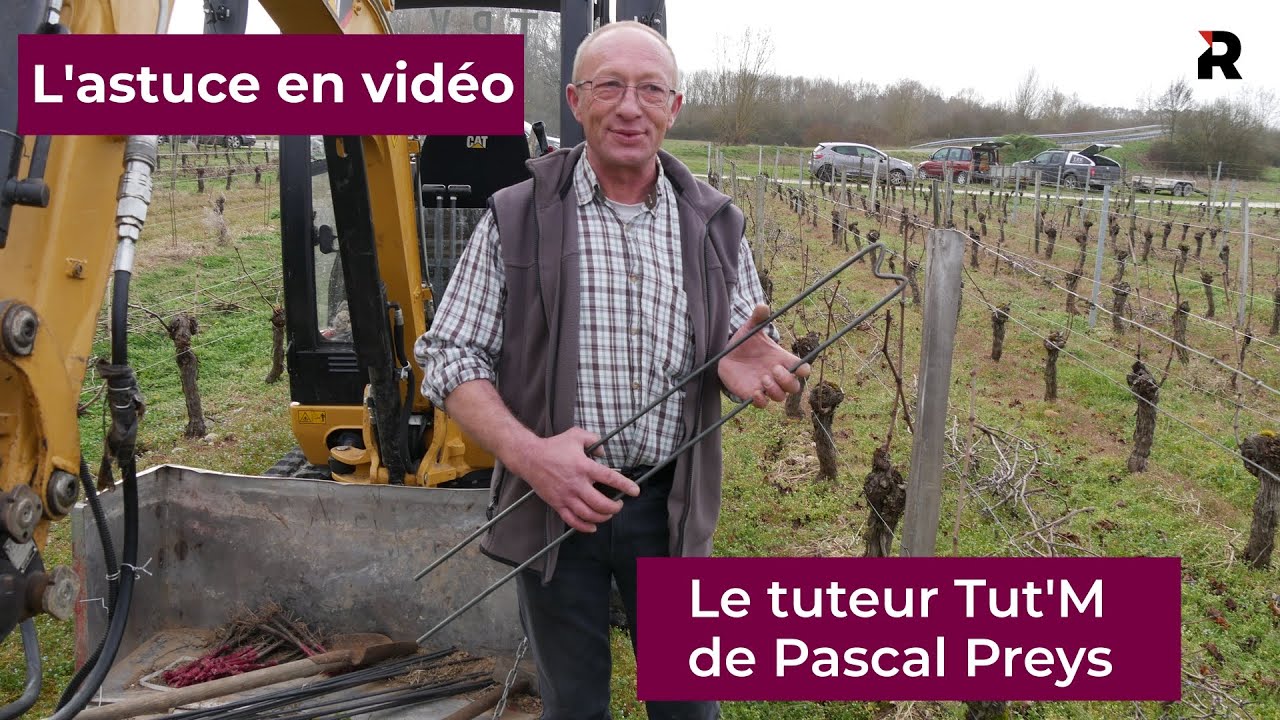 L'astuce en vidéo - Tuteur Tut'M - Réussir Vigne n°294