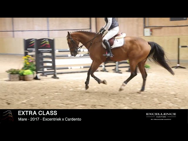 EXTRA CLASS   -  Model & dressage