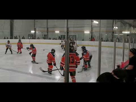 U11M Wood Buffalo Warriors vs Tsuu Tina Yellow 2025 Native Hockey Alberta Provincials