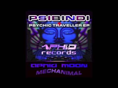 Psibindi & Mechanimal - Chromatic Space