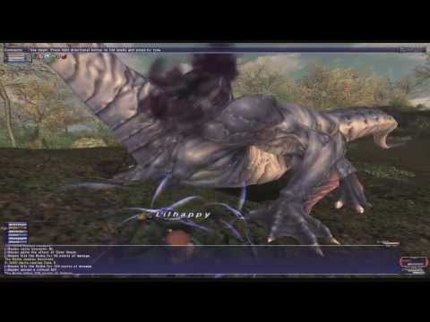 Lets Play FFXI Part 20 - How Strong is Level 99?