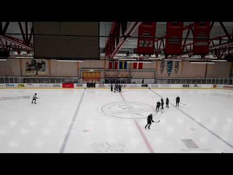 GIC 3.1.2020 Halmstad Hammers - TPS White