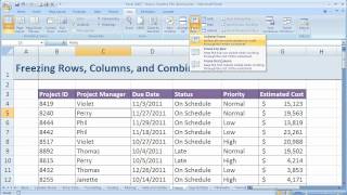 How to freeze and unfreeze a column or row in Excel 2007 (Excel 07-017)