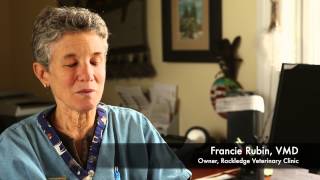 preview picture of video 'Rockledge Veterinary Clinic - Testimonials'