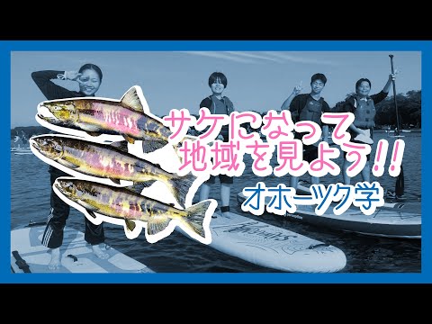 【オホーツク学】サケになって地域を見よう!!【生物産業学部の高大連携】