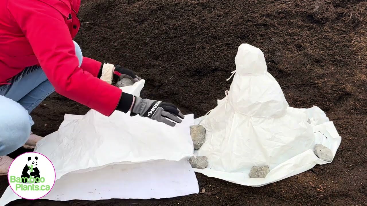 maxresdefault - Get Your Plants Ready For Winter