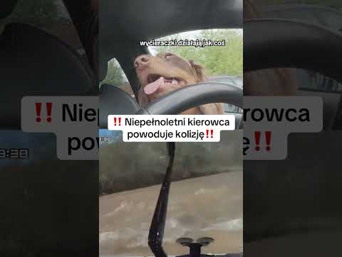 niepełnoletni kierowca powoduje kolizję #shorts