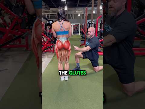 RDL vs DEADLIFT #deadlift #shorts