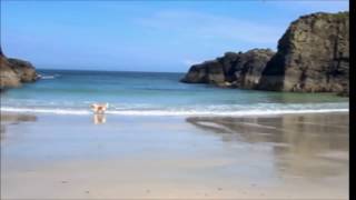 The Coast Of Malabar