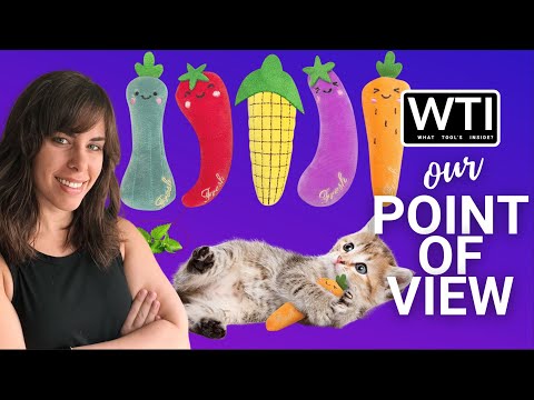 ETEKYER Catnip Toys - WTI product video review