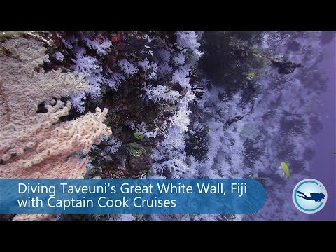 Captain Cook Cruises Fiji video