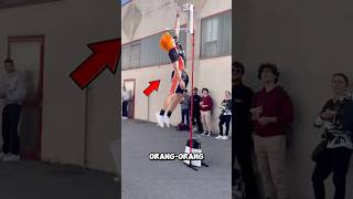 Download lagu Beginilah cara agar lompat lebih tinggi‼️😨 mp3 Download lagu Beginilah cara agar lompat lebih tinggi‼️😨 mp3