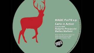 Carlo In Action - Magic Flute (Original Mix)