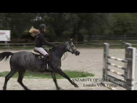 Lanzarote Optima    z