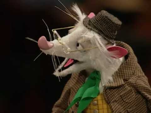 Tales Of The Irish Rats (Volume I: How The Rats Were Rhymed Out Of Ireland) (By Shannon Shamley)