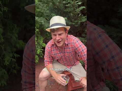 Guy Who Just Vacationed in a Third World Country