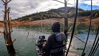 Fishing a Winter Forest (Race to 100 fish)