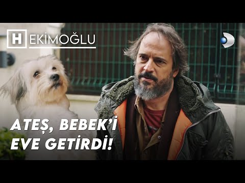 Kelek Bu Kalp de Kırıyor! | Hekimoğlu 43.Bölüm