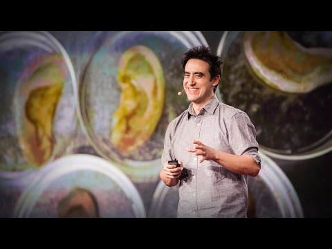 TED】Andrew Pelling.この科学者はリンゴから耳を作る (This scientist makes ears out of apples | Andrew Pelling) (【TED】Andrew Pelling: This scientist makes ears out of apples (This scientist makes ears out of apples | Andrew Pelling))