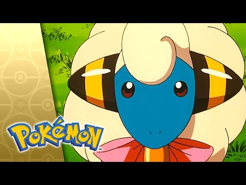 Sanft und wollig | POKÉMON  – GANZE FOLGE 23 | Staffel 3