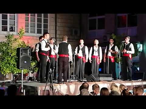 Klapa Korda, Dalmatino