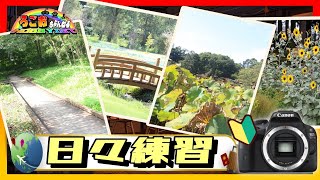 カメラ初心者が自分の写真眺める動画【日々練習】