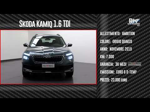USATO REGGINI -  SKODA KAMIQ e KAROQ - DAS WELTAUTO