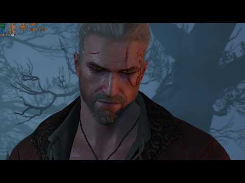 The Witcher 3 Wild Hunt Part 63 - The Isle Of The Mists | Bring Gaspard To The Hut - Walkthrough