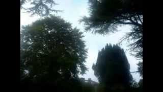 Bridge over Troubled Waters