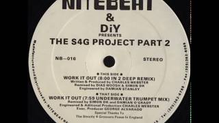 DiY ‎– Work It Out (8.00 In 2 Deep Remix)