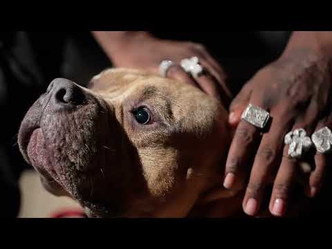 Mike Clark Jr - Dog House (Official Video) #MikeClarkJr #DogHouse